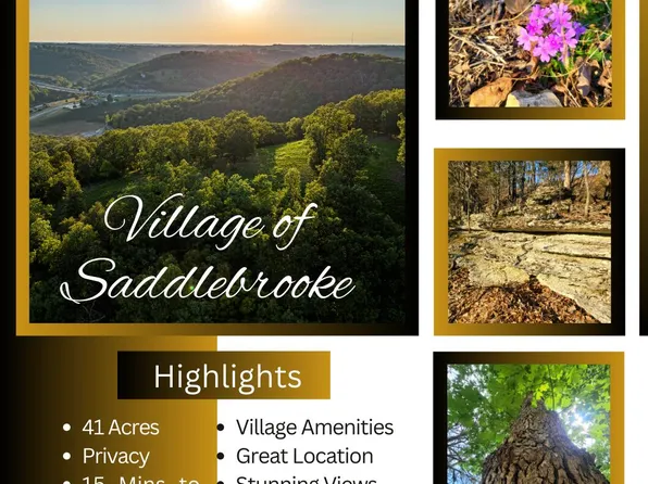 Tract 1 Greenwood Road, Saddlebrooke, MO 65630