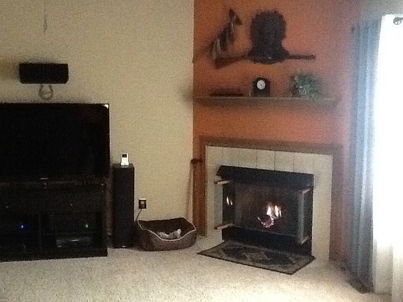 Gas fireplace
