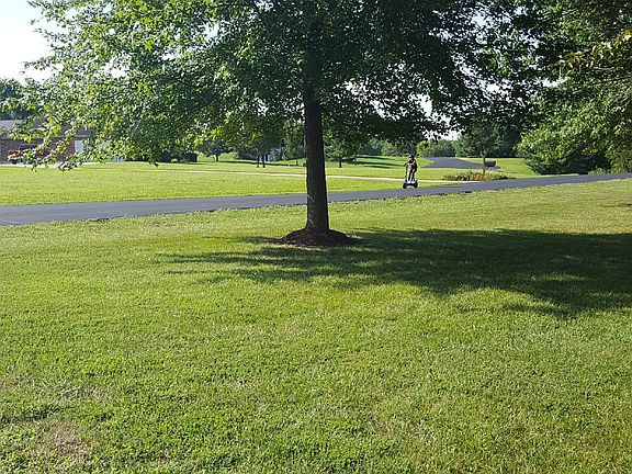 from driveway towards street