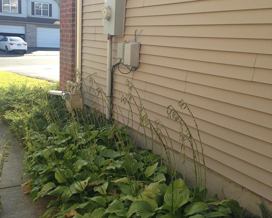 Entrance to Townhome