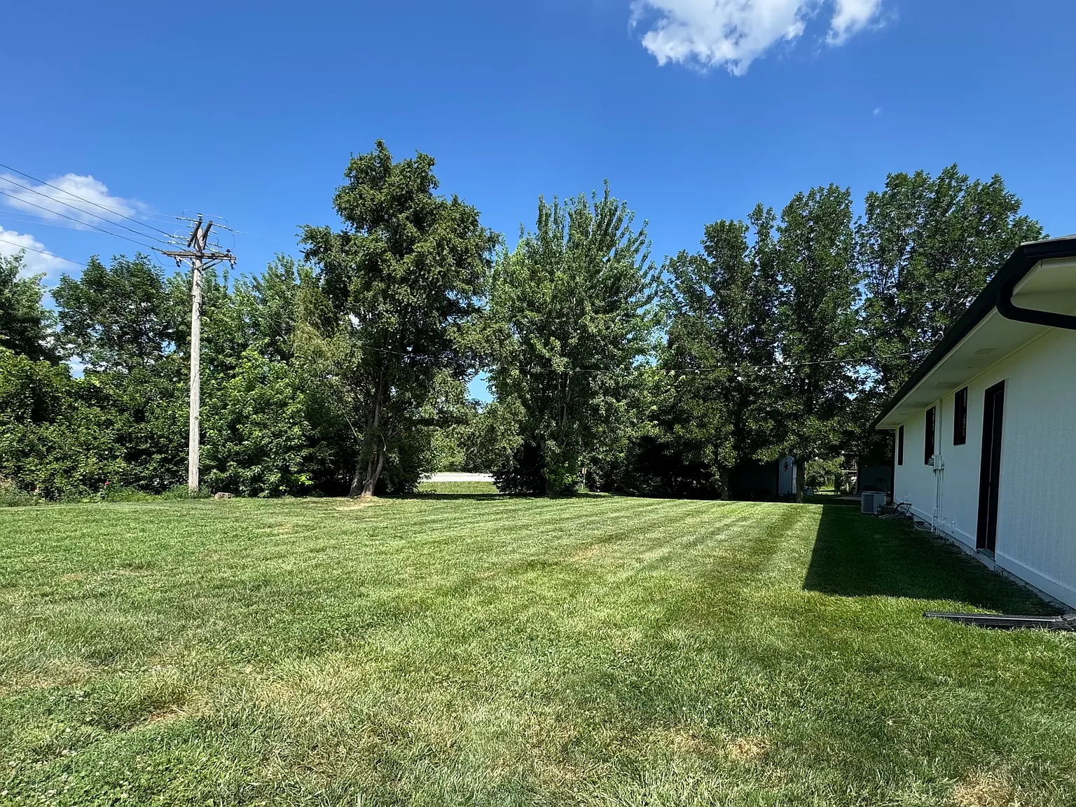 3 bed, 1000 sqft, $2,000 — Photo 2