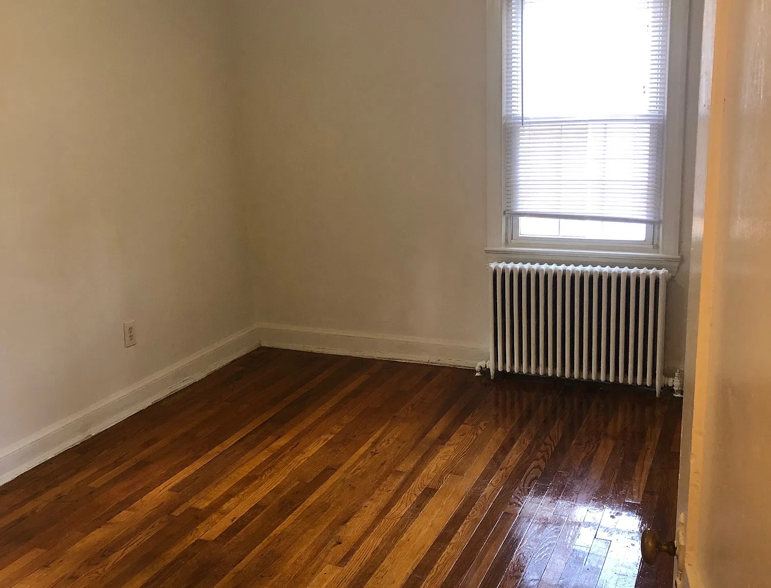 1 bed, 550 sqft, $1,295 — Photo 3