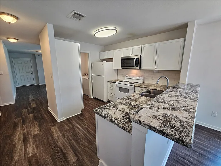 16721 Hamilton Point Cir — Photo 5