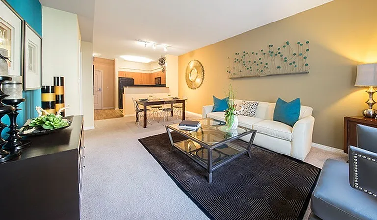 Living Room + Kitchen