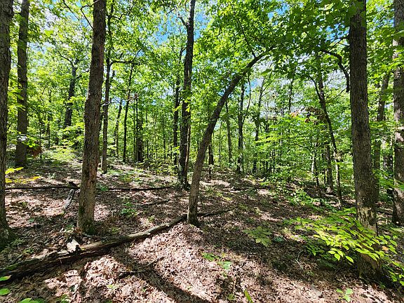 5th image of Poteau Mountain Rd Tract 35