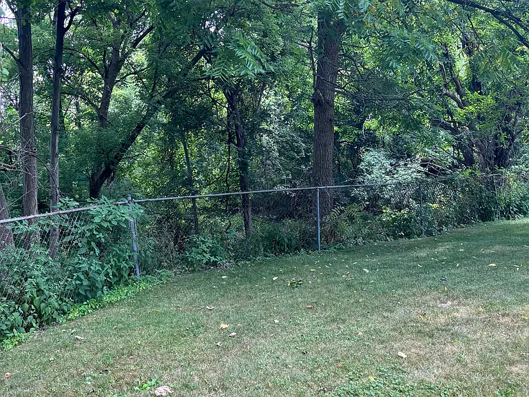 Fenced backyard