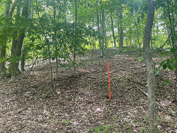 5th image of LOT 46 Whisper Ln