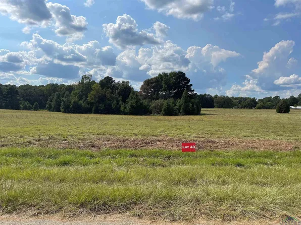 40 County Road 2204d & Dm #1797, Tatum, TX 75691