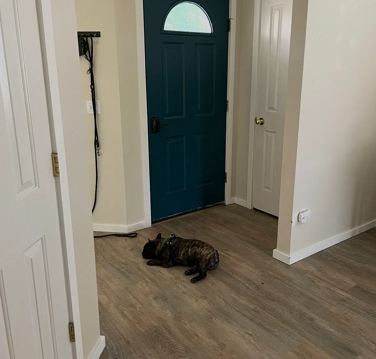 3 bed, 1496 sqft, $2,700 — Photo 4