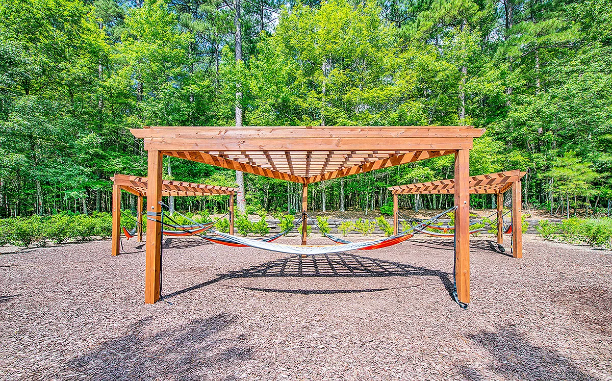 MAA Duke Forest — Photo 4