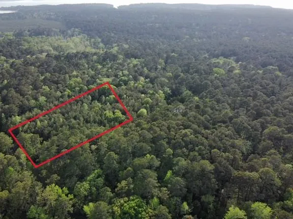 513 County Road 491 S, Broaddus, TX 75929