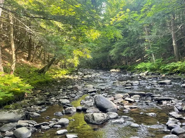 R5L31 W Mills Road, Starks, ME 04911