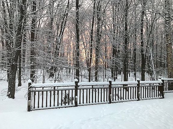 3rd image of 7375 Joseph Dr