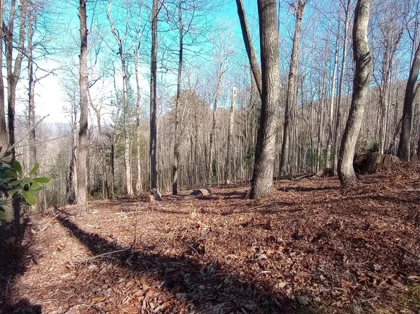 64 Corbin Mountain Rd, Zirconia, NC 28790