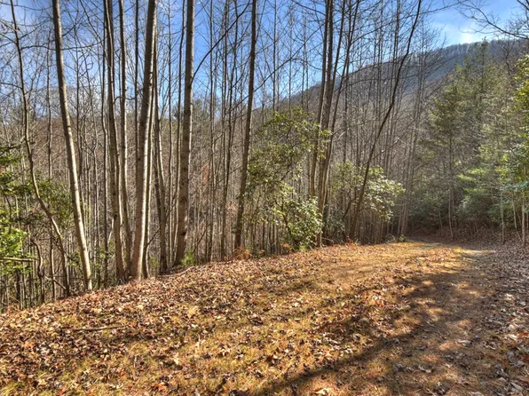 457 Youngblood Dr, Blairsville, GA 30512