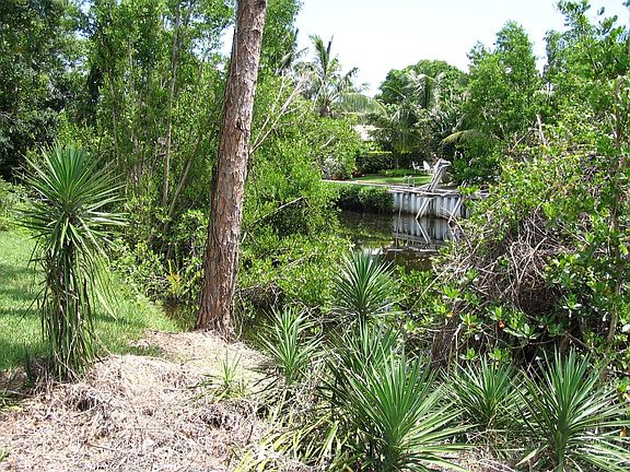 Creek bank