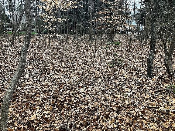 3rd image of 1190 Colony Trl