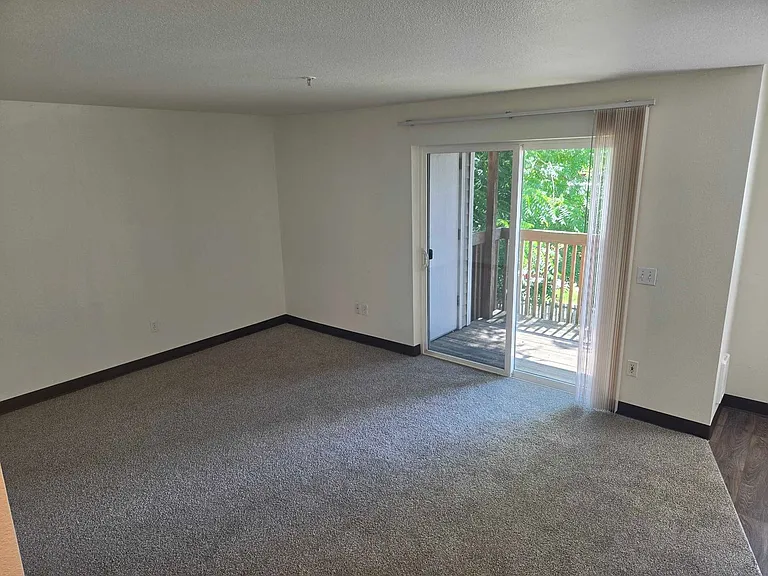 5110 10th Ave NE — Photo 9