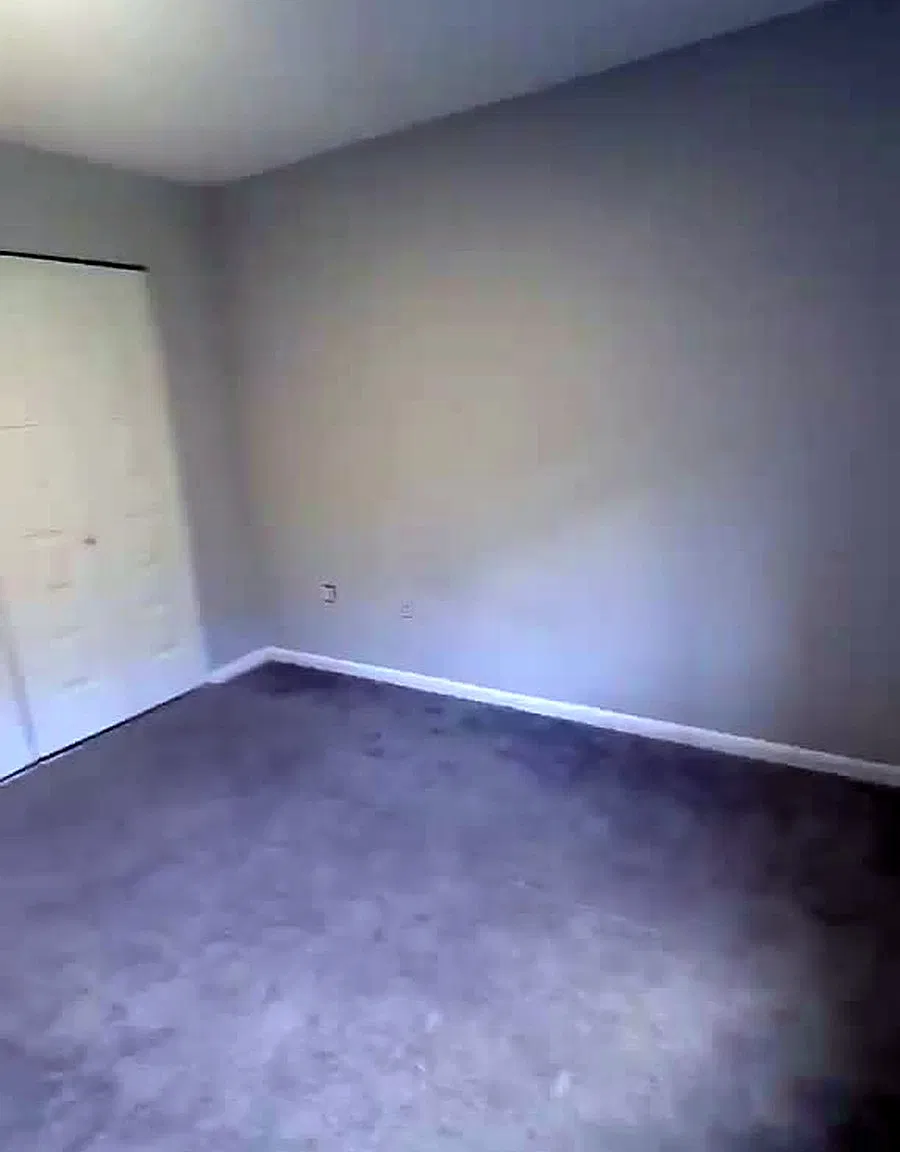 3 bed, 1100 sqft, $3,100 — Photo 3