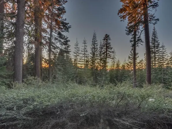 Prather Meadow Rd, Arnold, CA 95223