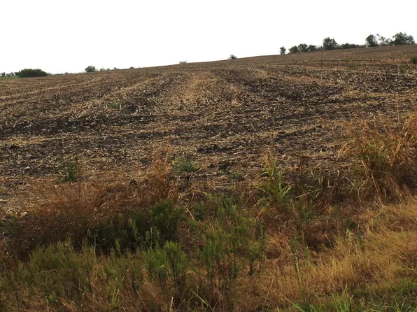 0 County Road 420, Thorndale, TX 76577