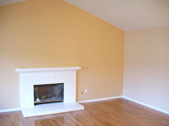Living Room/Fireplace