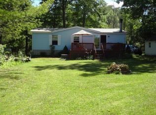 1319 Creek St, Bitely, MI 49309