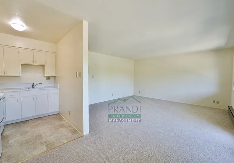 1562 Sir Francis Drake Blvd #4 — Photo 8