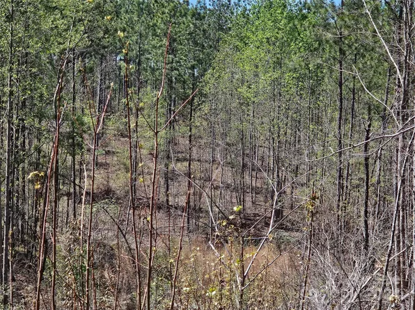0 Thermal City Rd, Union Mills, NC 28167