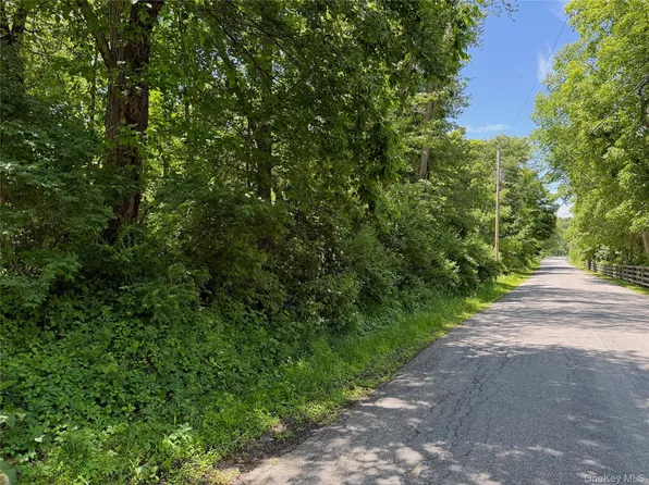 Schoolhouse Road, Staatsburg, NY 12580