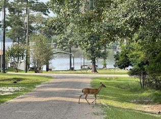 669 Lakeshore Dr, Trinity, TX 75862