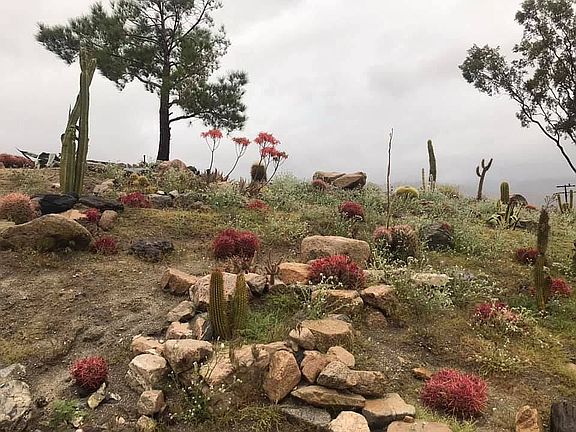 Beautiful surroundings