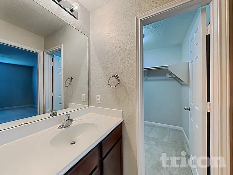 6803 Luckey Tree — Photo 8