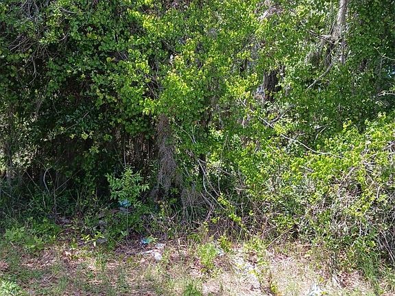 3rd image of 215 & 217 Country Walk