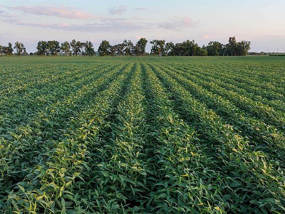 5th image of 58.42 M/l Acres Sam