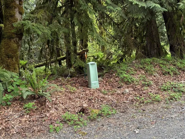 0 Upper Frost Creek Road, Maple Falls, WA 98266