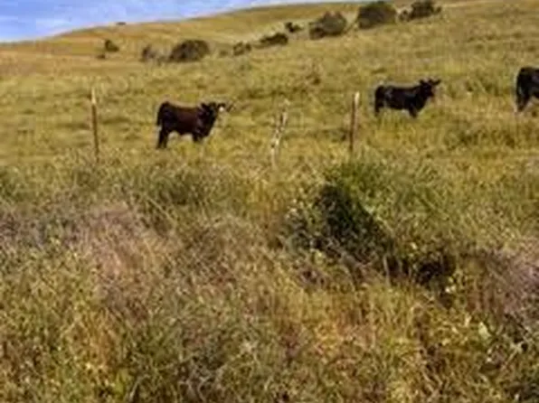 1 Little Merrill Rd, San Juan Bautista, CA 95045