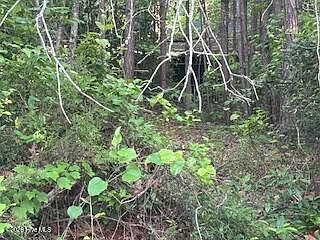3rd image of 125 Mockingbird Lane