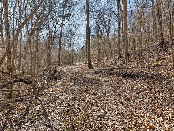 4th image of 0 Hurricane Creek Rd Lot 1&2