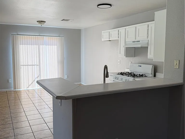 1864 Star Sapphire Ct — Photo 9