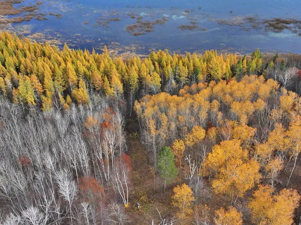 New Paradise Point Dr Lot 8, Lake George, MN 56458