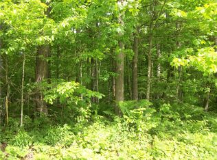 LOT 71& 72 Woods, Birchwood, WI 54817