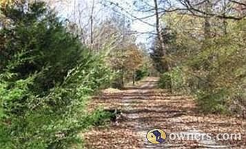 driveway further east toward house