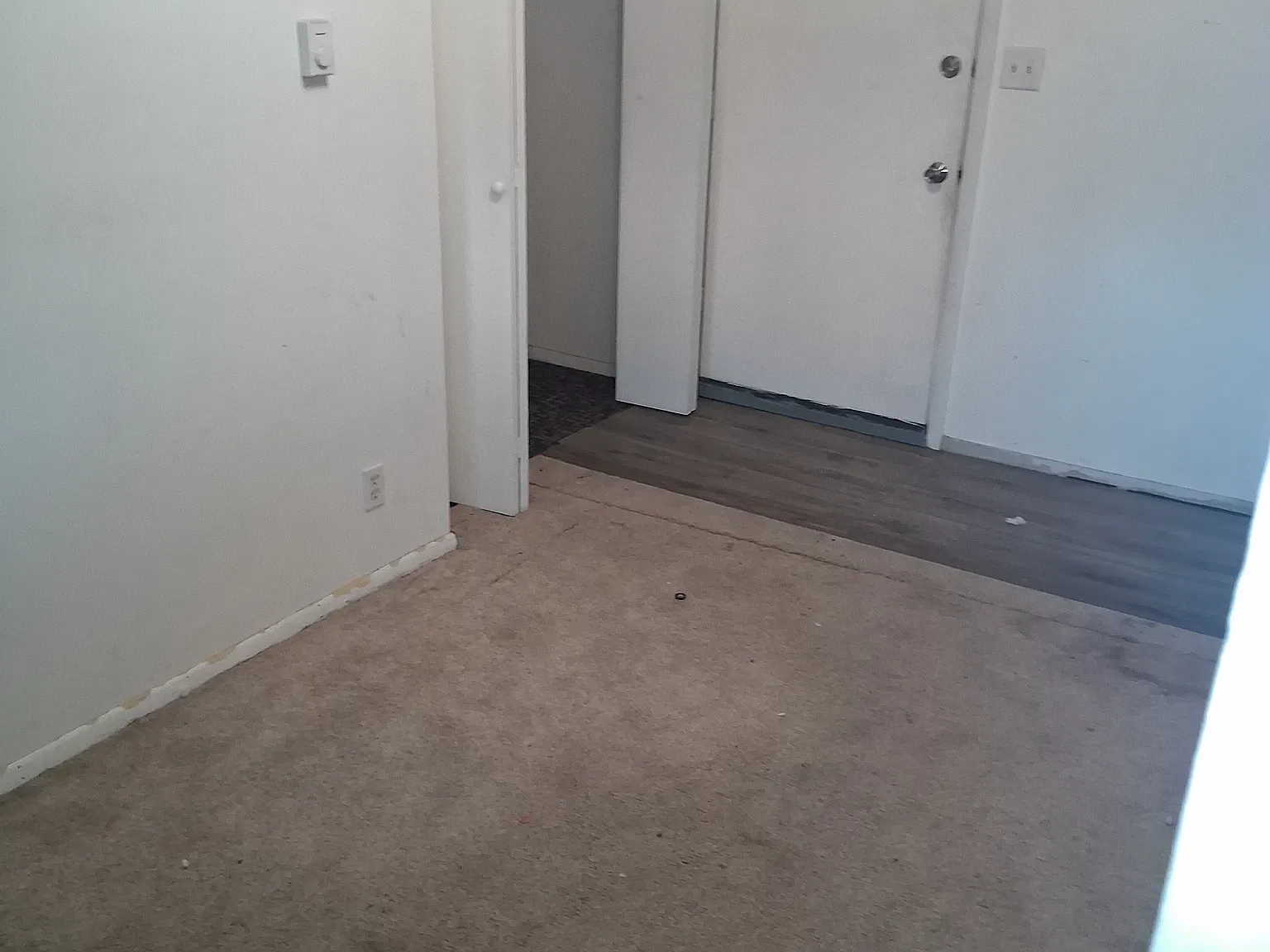1 bed, 700 sqft, $1,000 — Photo 2