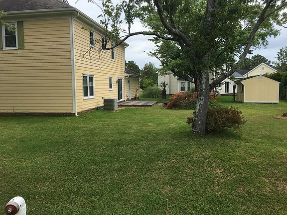 Back yard in summer
