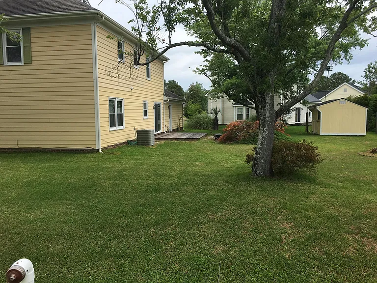 Back yard in summer