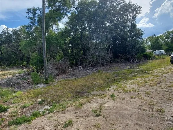 Malauka Radl #8, Ocklawaha, FL 32179