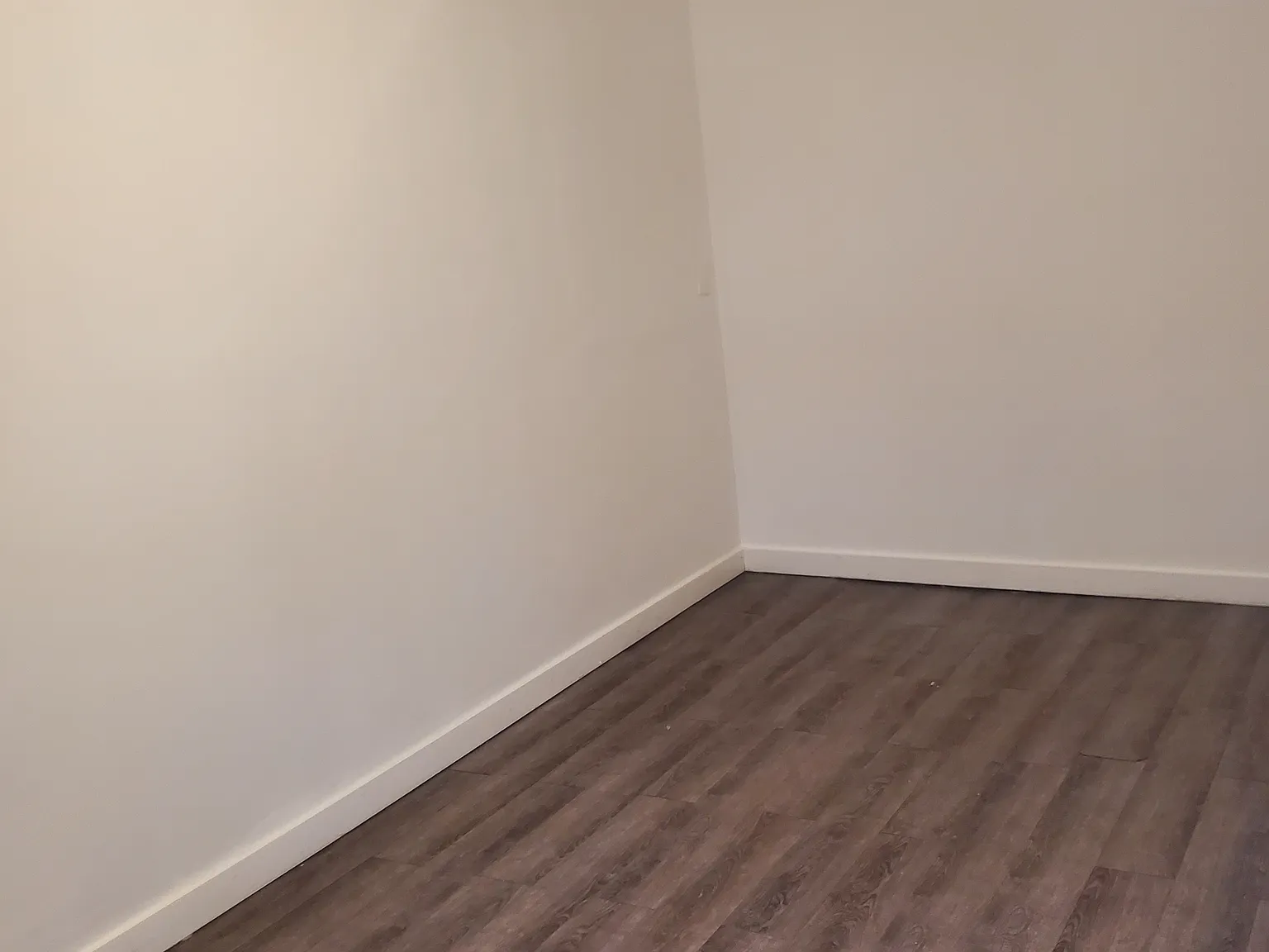 2 bed, 525 sqft, $1,450 — Photo 3