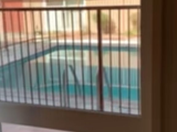 Pool view from dining area