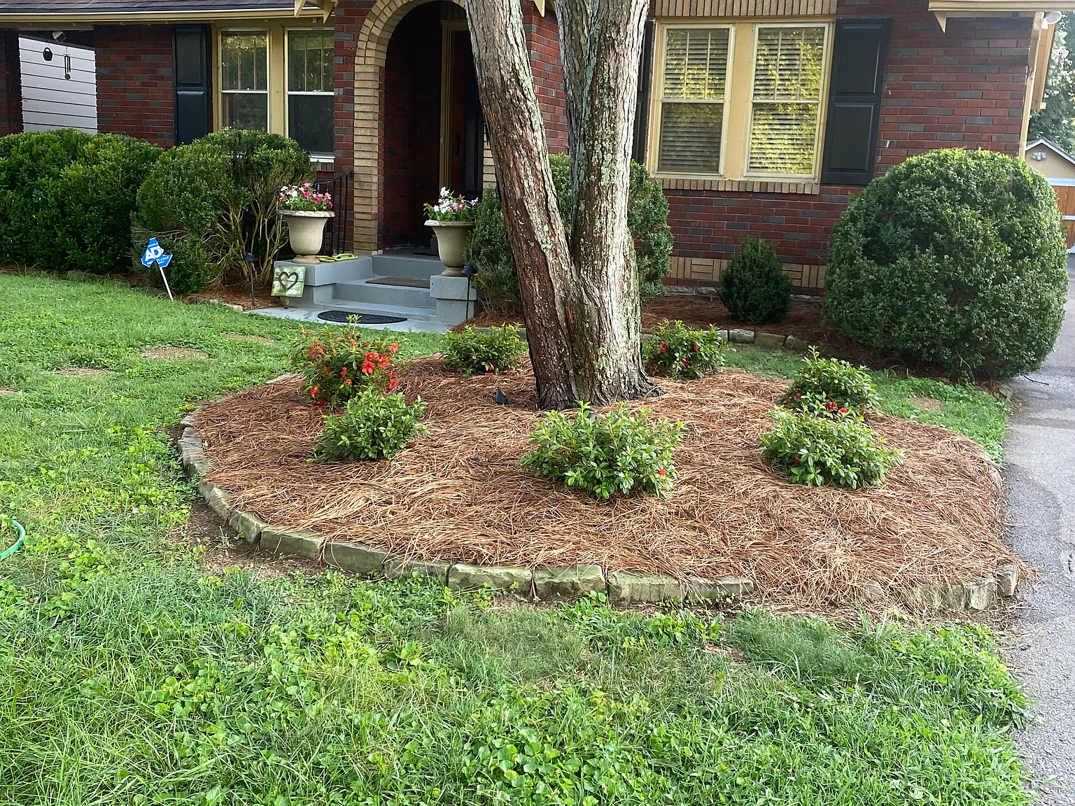 3 bed, 1.5 bath, 1435 sqft, $3,500 — Photo 2